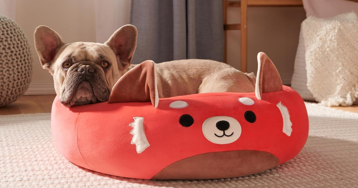 squishmallow pet bed