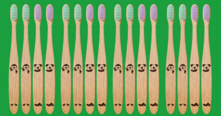 2 Free Dr Noah Kids Bamboo Toothbrushes