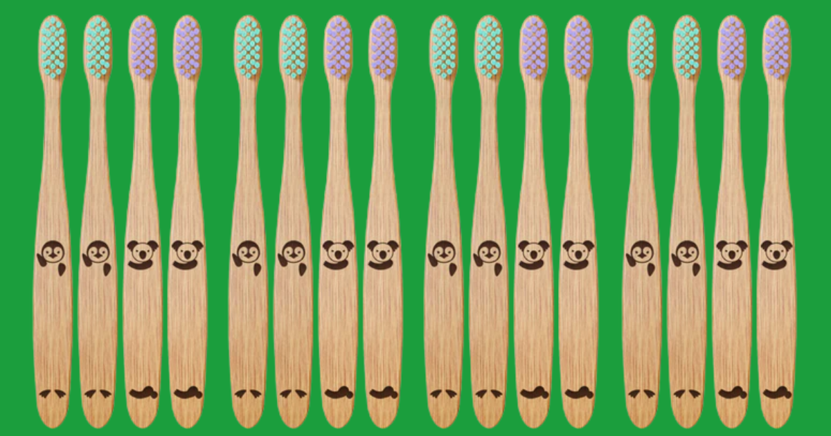 2 Free Dr Noah Kids Bamboo Toothbrushes f 2 Free Dr Noah Kids Bamboo Toothbrushes