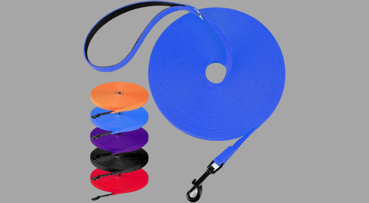 Untitled 1200 x 663 px 20250601 114342 0000