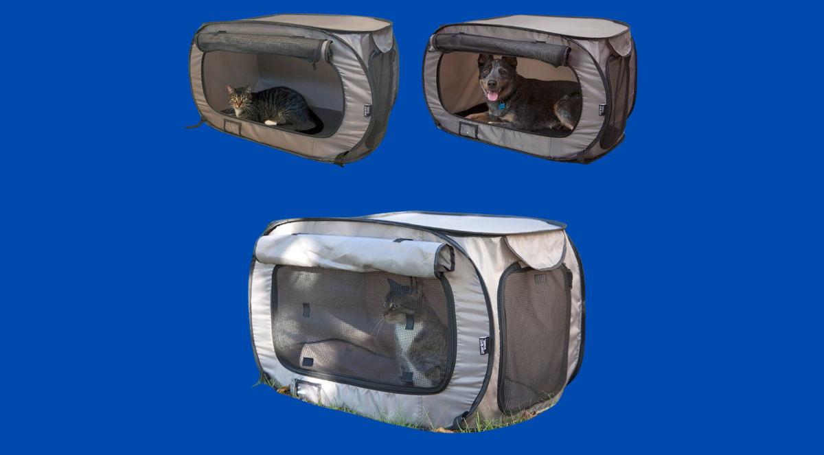 Untitled 1200 x 663 px 20250608 183349 0000