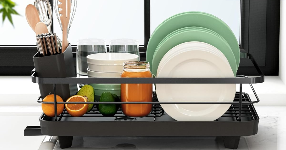 dish drying rack