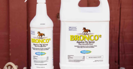 Bronco Fly Spray