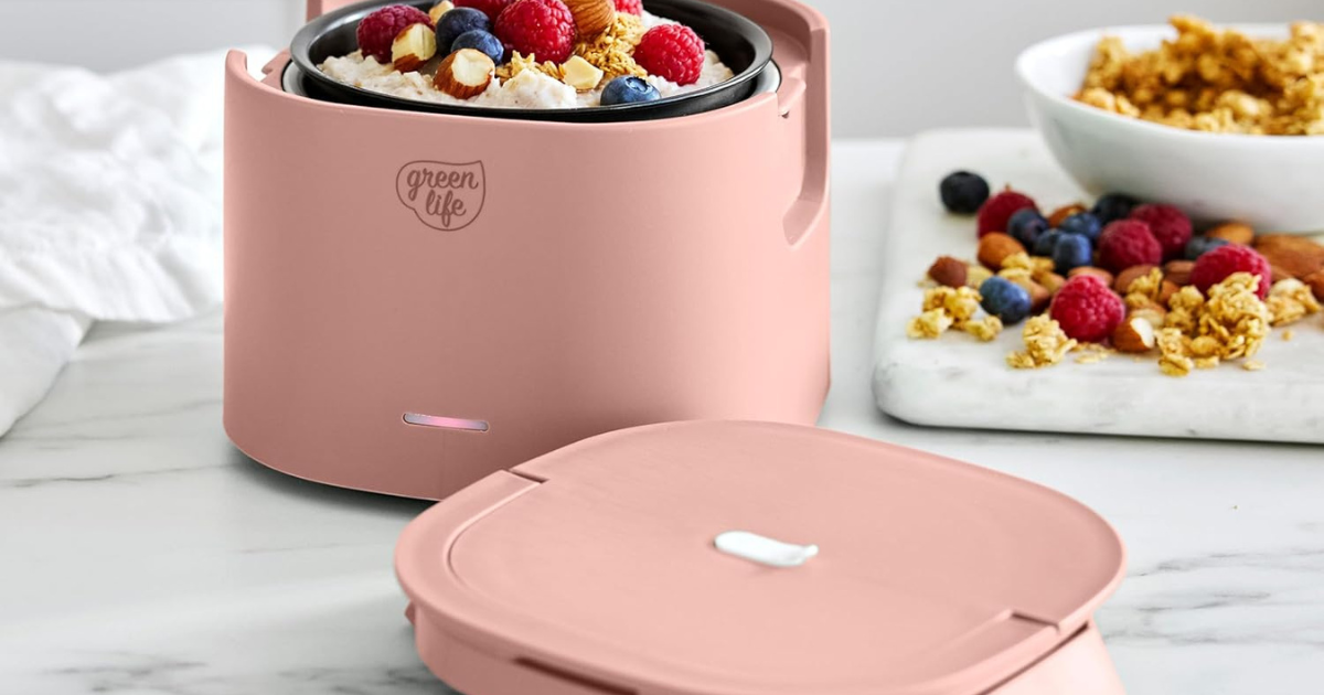 Green Life Lunch warmer