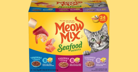 Meow Mix Seafood Selects Wet Cat food pack of 24