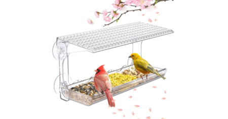 Untitled 1200 x 663 px 20250706 182216 0000