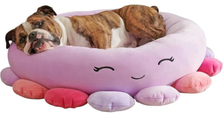 Untitled 1200 x 663 px 20250730 145255 0000