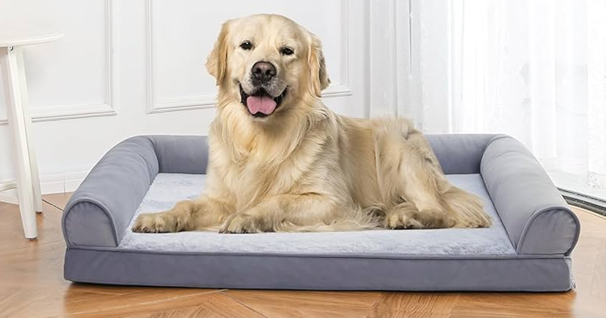 Amazon Basics Foam Living room couch dog bed with removable cover