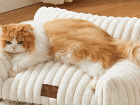 Bedsure pet Couch