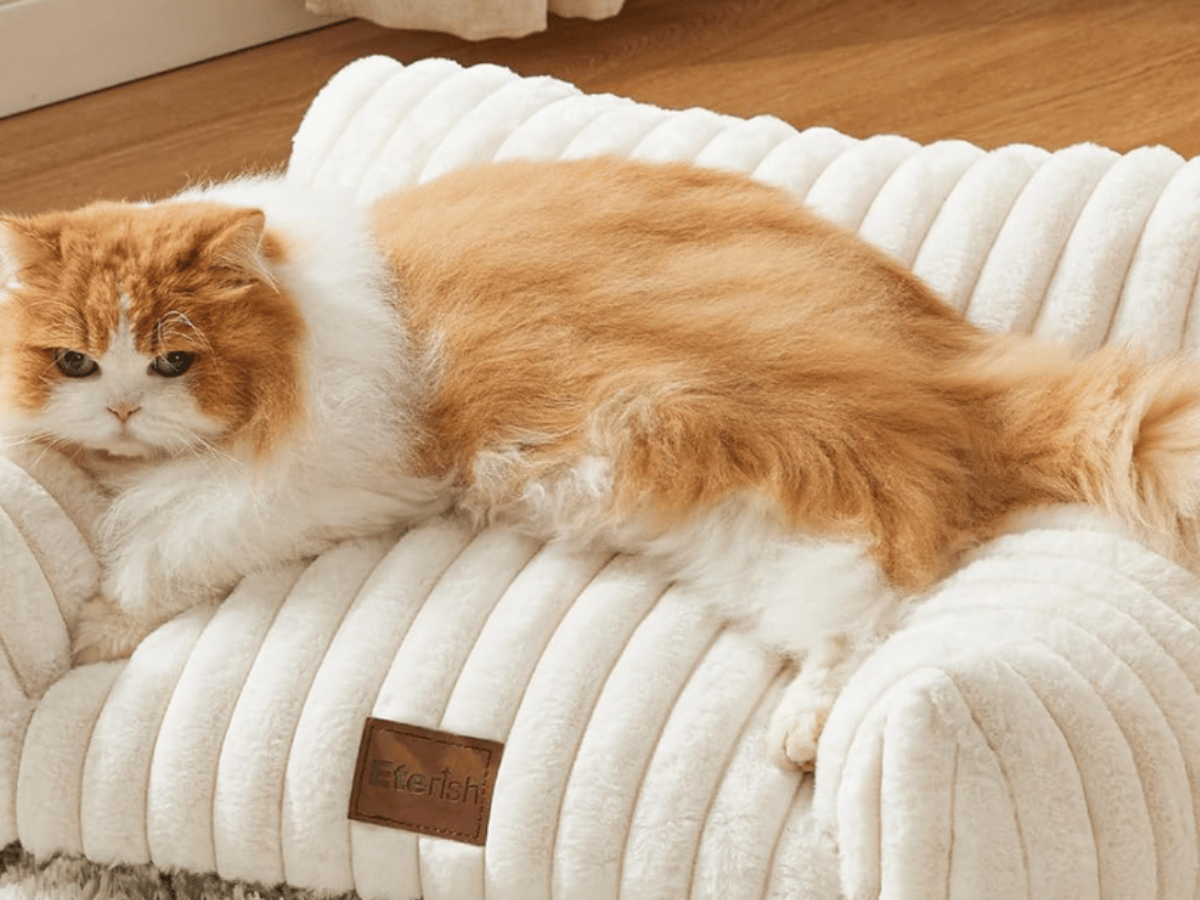 Bedsure pet Couch Bedsure pet Couch