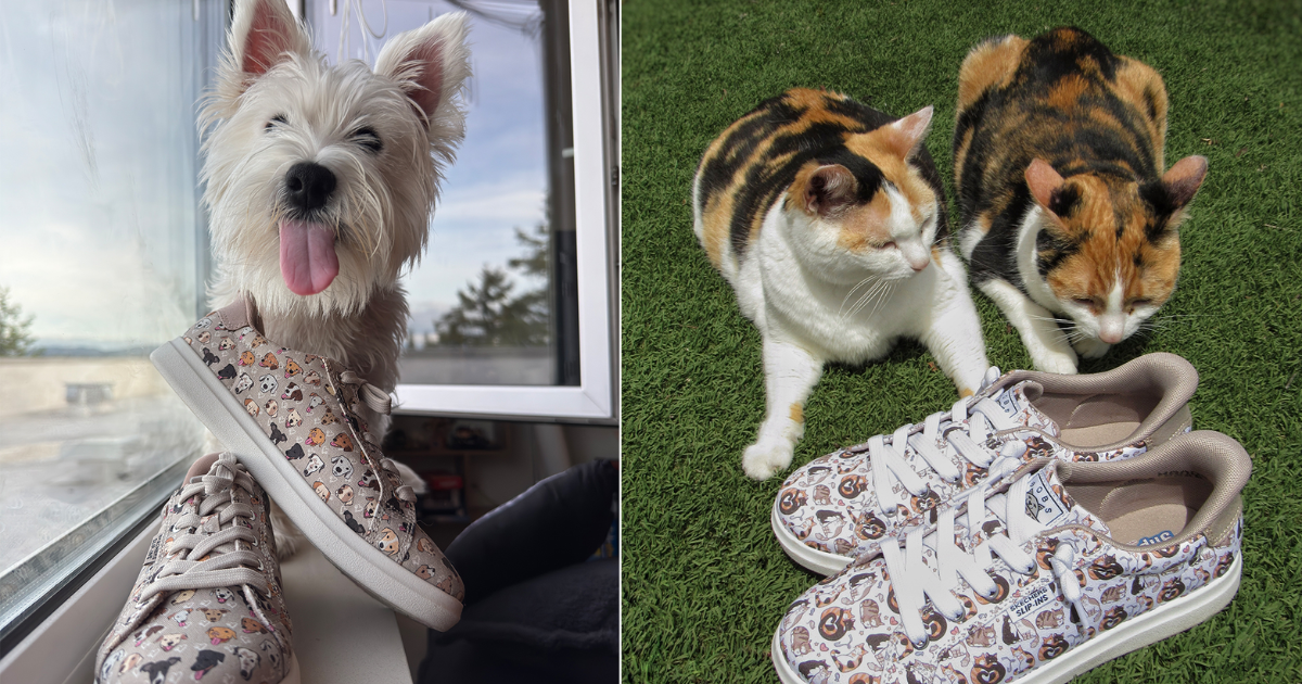 Bobs from Skechers Paws for a Cause Scholarship Contest