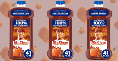 Mr Clean All Purpose Cleaner Spiced Harvest