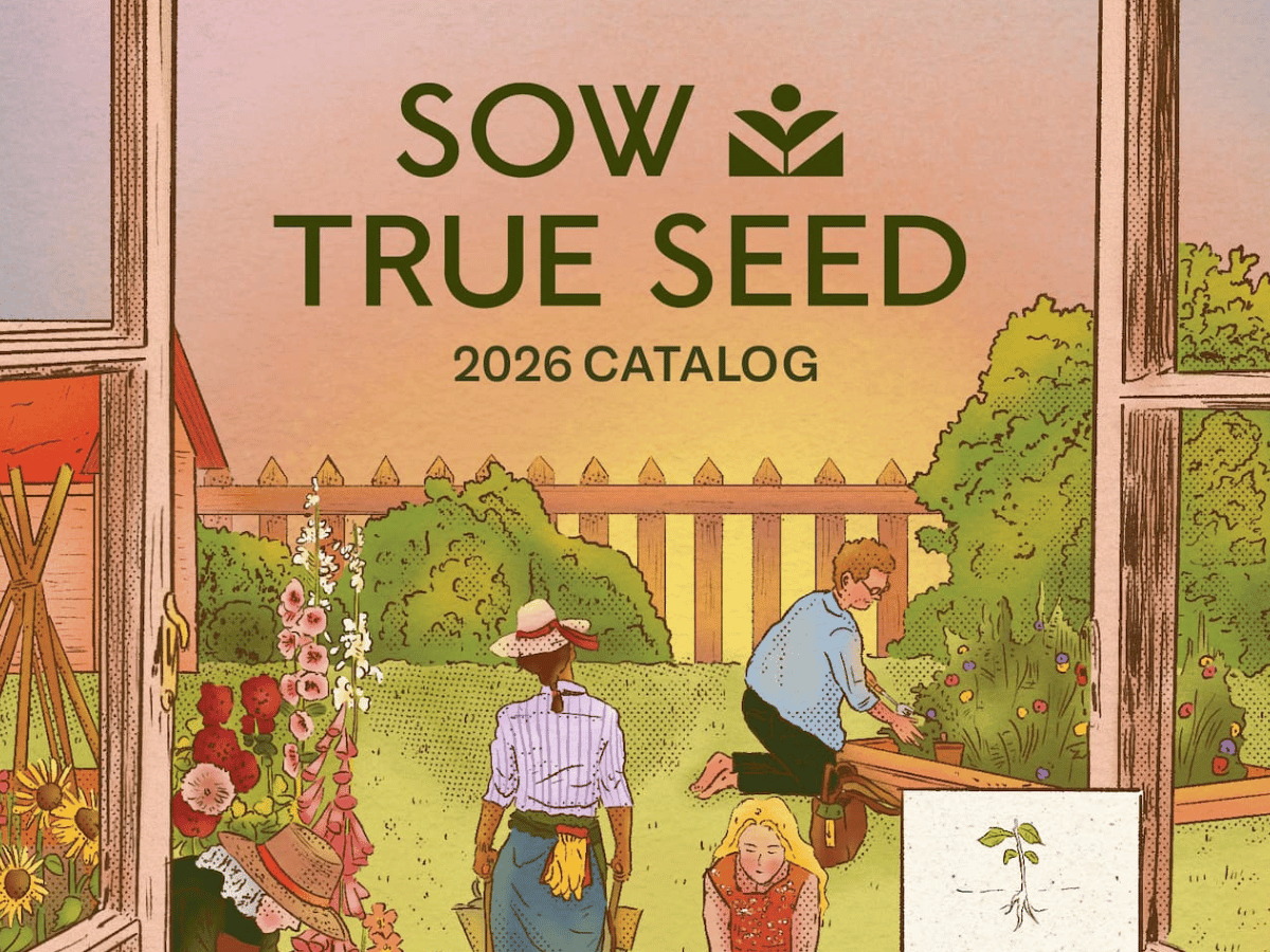 Sow True Seed Catalog 2026