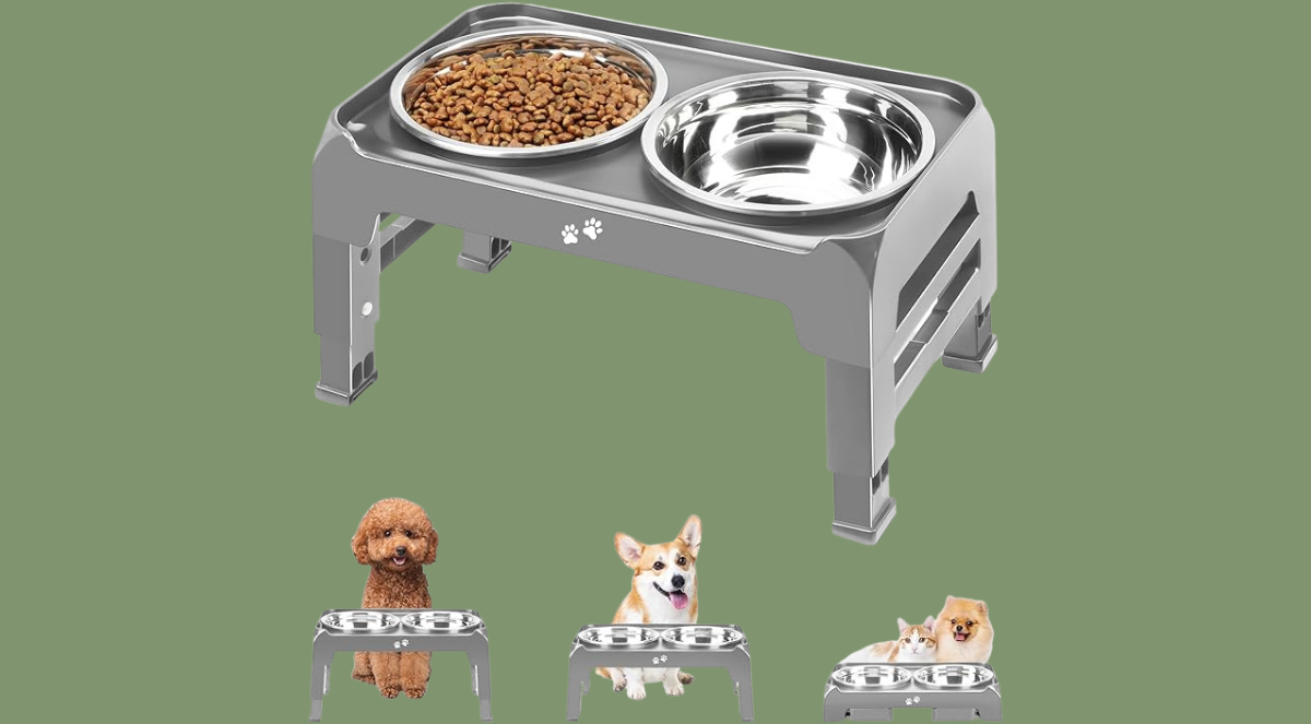 Untitled 1200 x 663 px 20250814 145058 0000