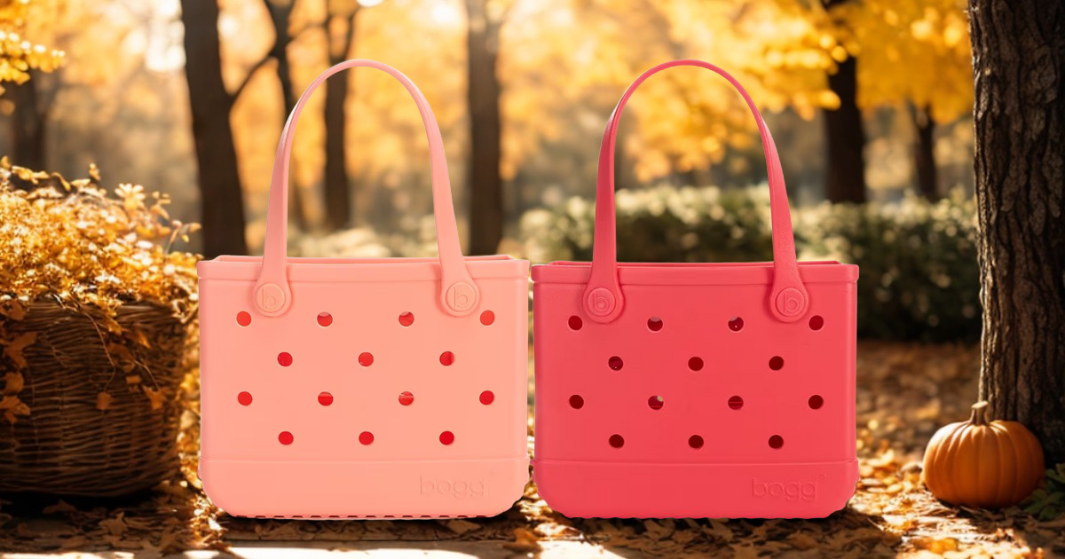 bogg ittybitty bogg ittybitty