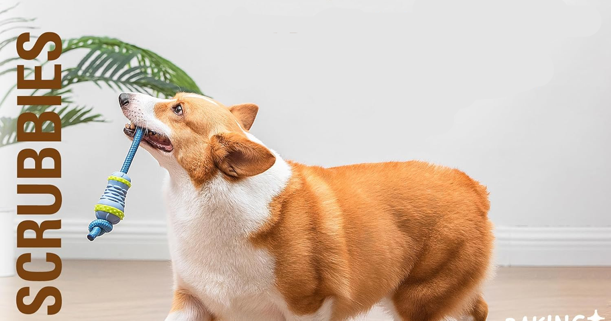 Arm Hammer For Pets Throw n tug dental chews