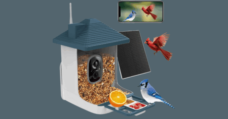 Bird Feeder
