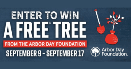Bubba’s 33 Tree Giveaway