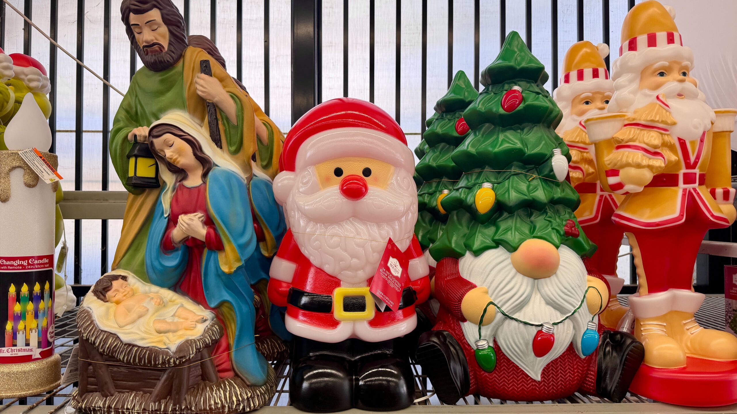 IMG 0065 IMG 0065 scaled