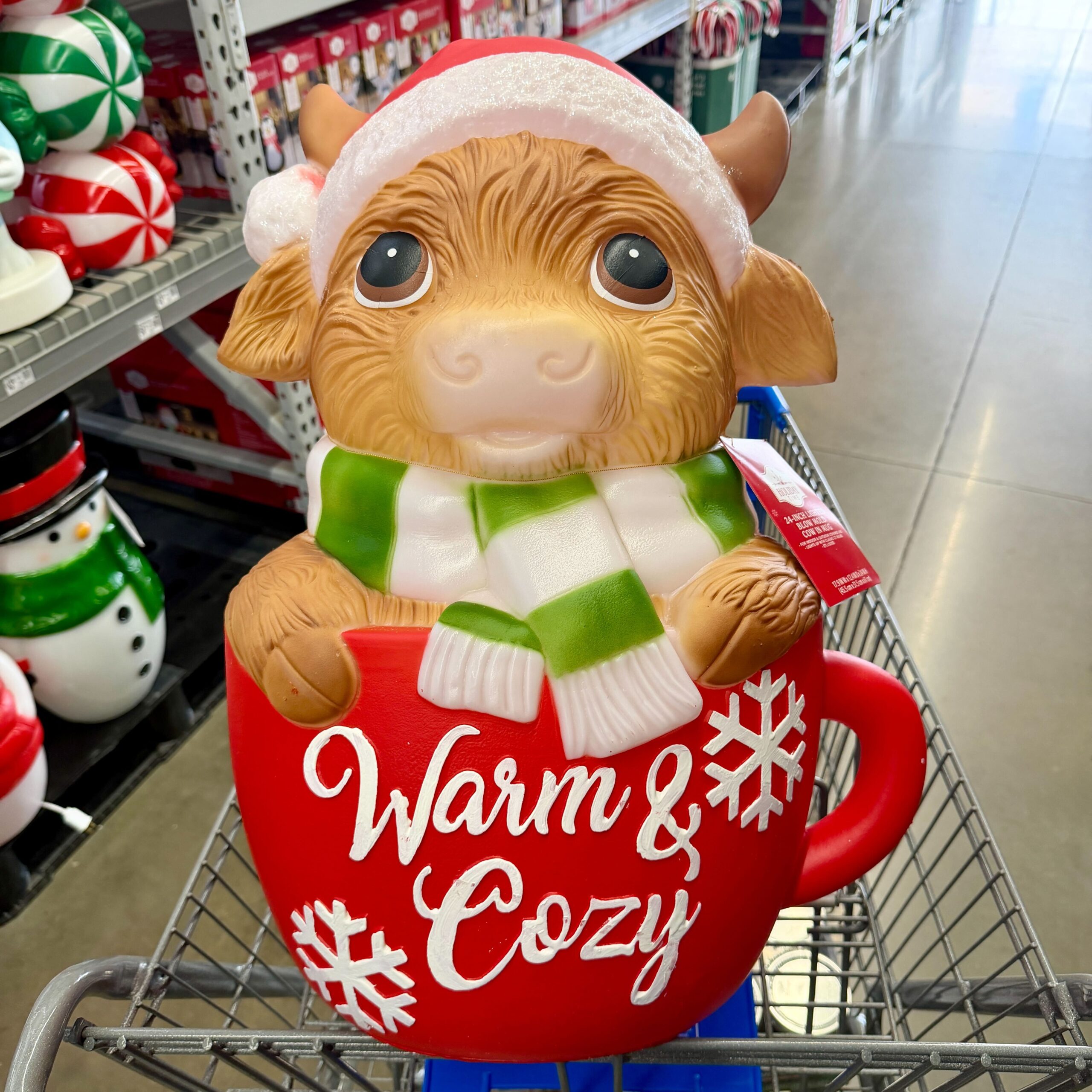 IMG 0066 IMG 0066 scaled