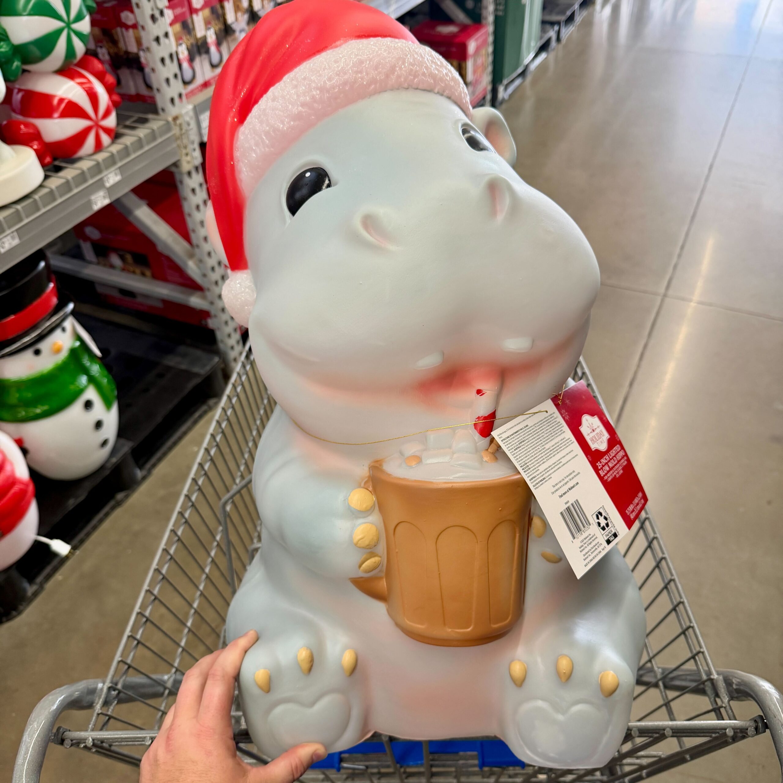 IMG 0067 IMG 0067 scaled