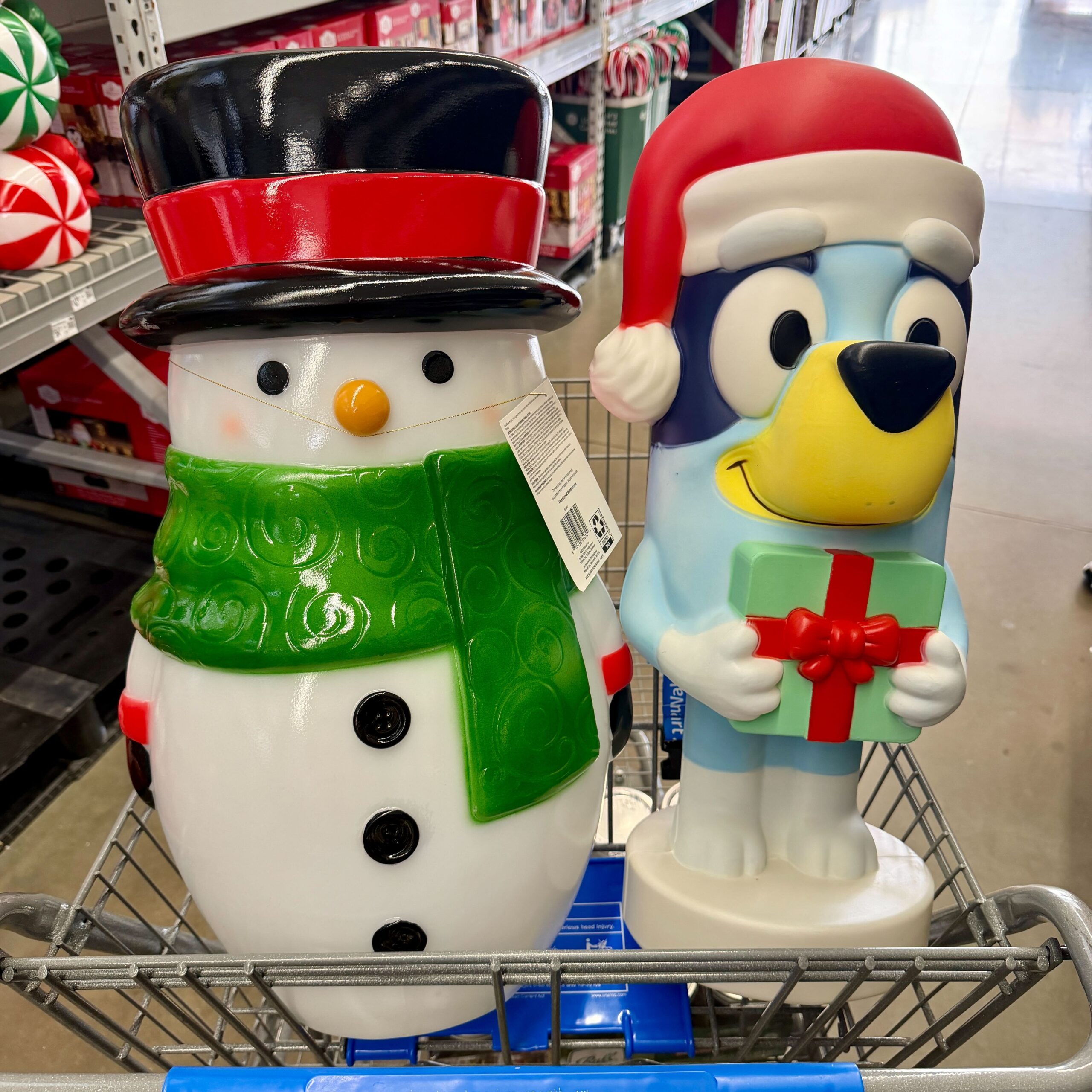 IMG 0068 IMG 0068 scaled