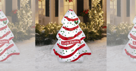 Little Debbie Snack Tree Cake