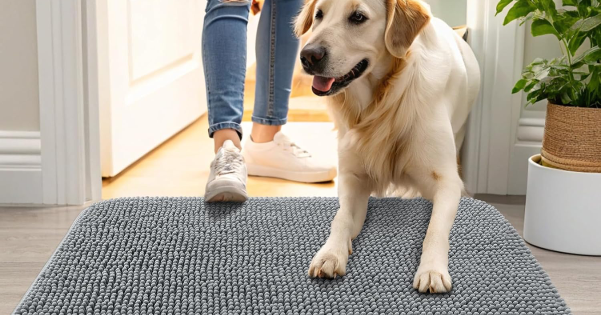 Olanly Door Mat Olanly Door Mat