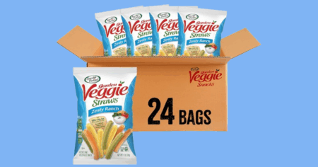 Sensible Portions Veggie Straws Zesty Ranch Pack of 24