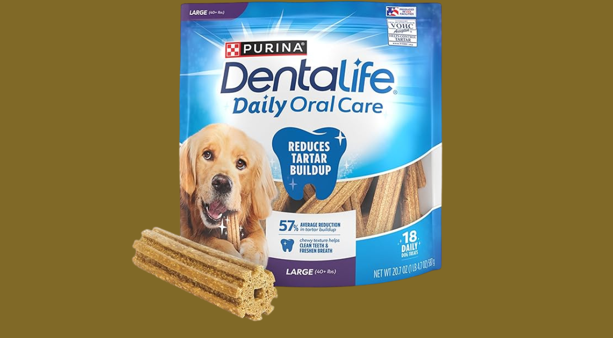 Untitled 1200 x 663 px 20250912 132421 0000