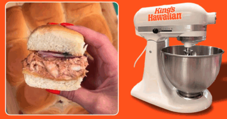 kinds hawaiian stand mixer