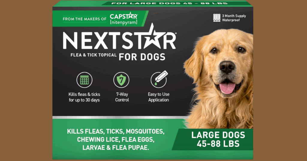 nextstar