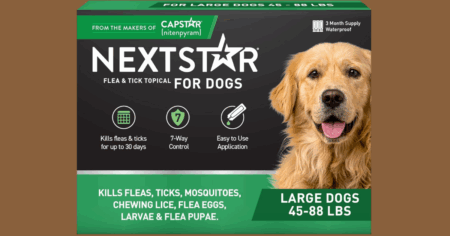 nextstar