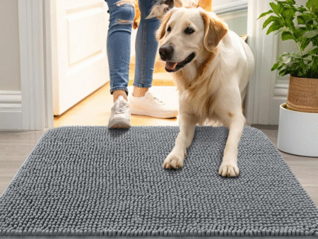 oLANLY Dog Door Mat
