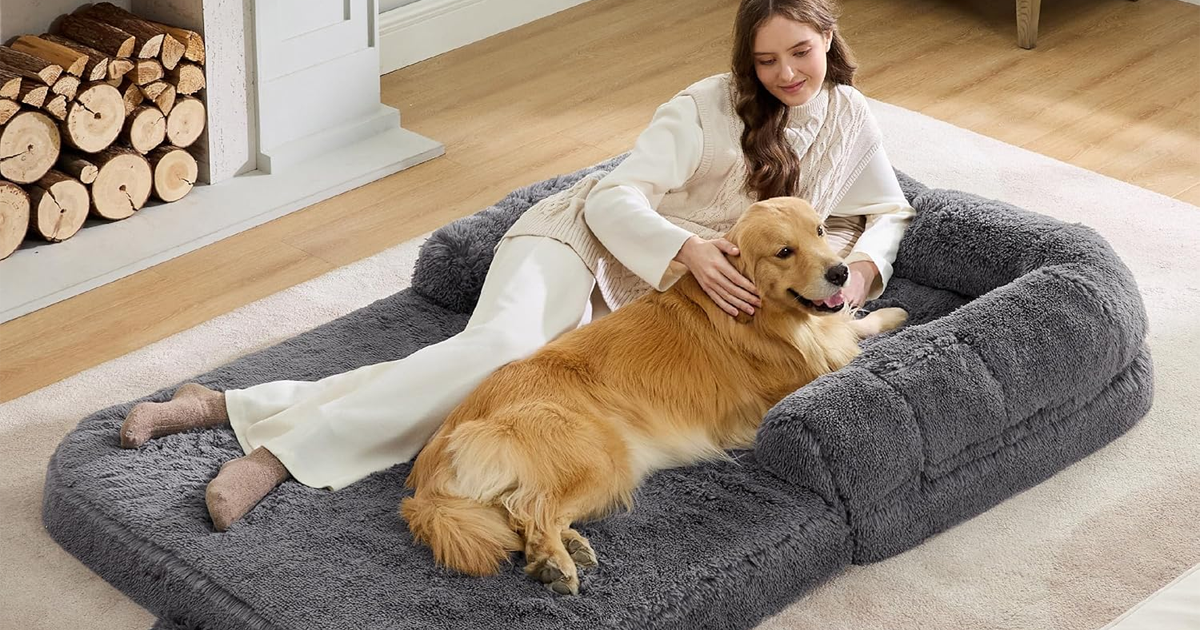Bedsure Foldable Human Dog Bed Bedsure Foldable Human Dog Bed
