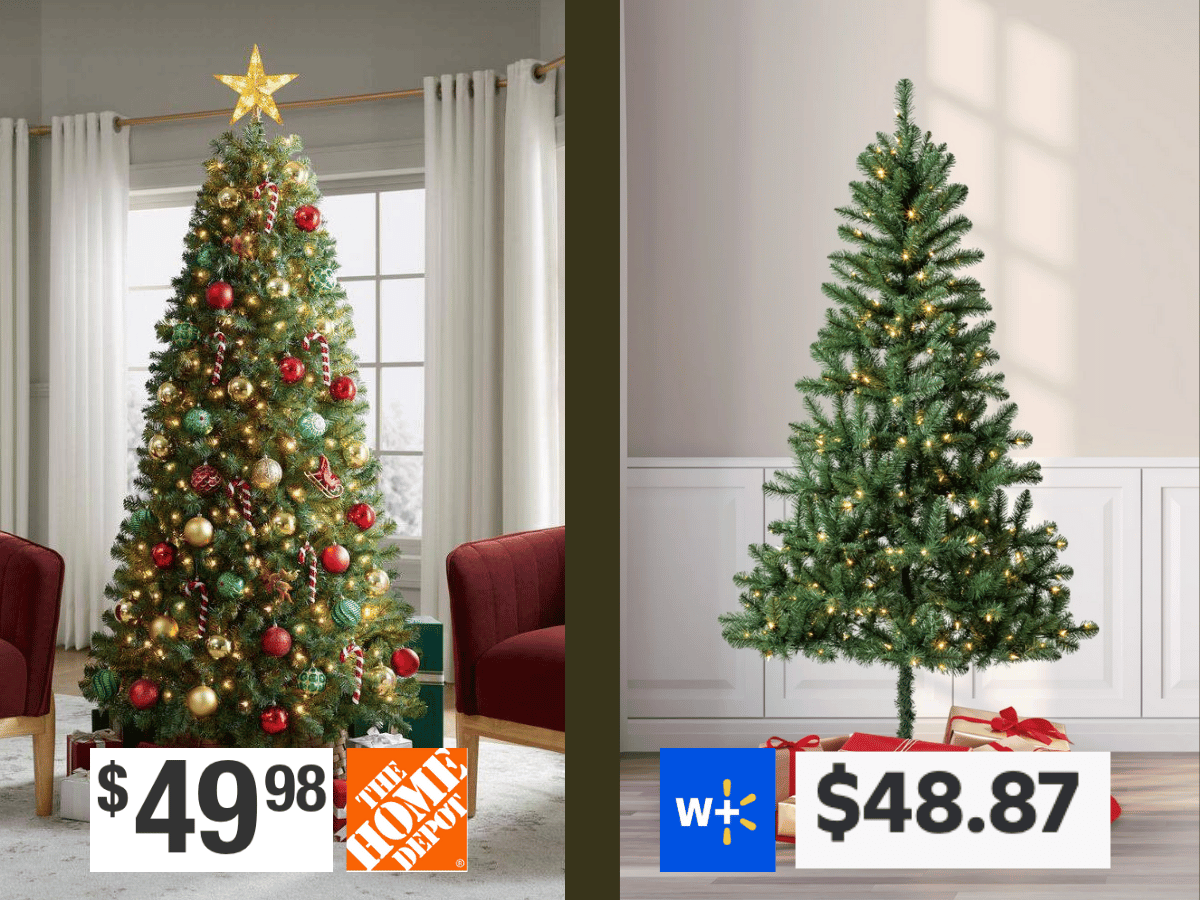 Christmas Tree Comparison