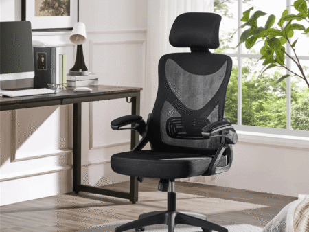 Ergonomic Office Chair