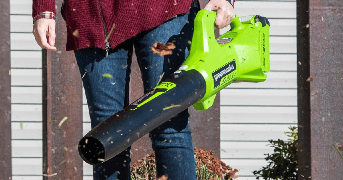 Greenworks Leaf Blower