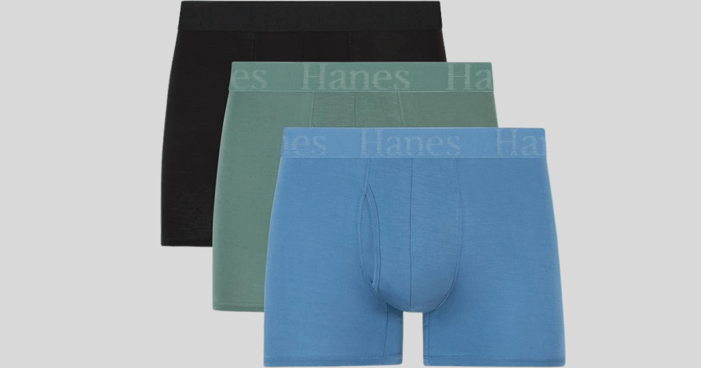 Hanes Boxer Briefs Hanes Boxer Briefs