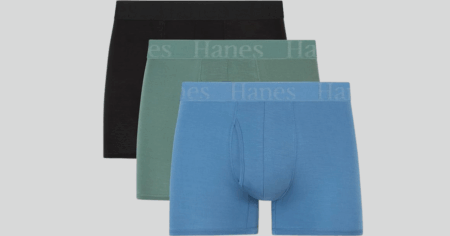 Hanes Boxer Briefs