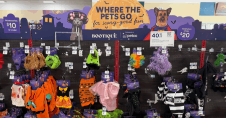 PETCO HALLOWEEN 1 scaled