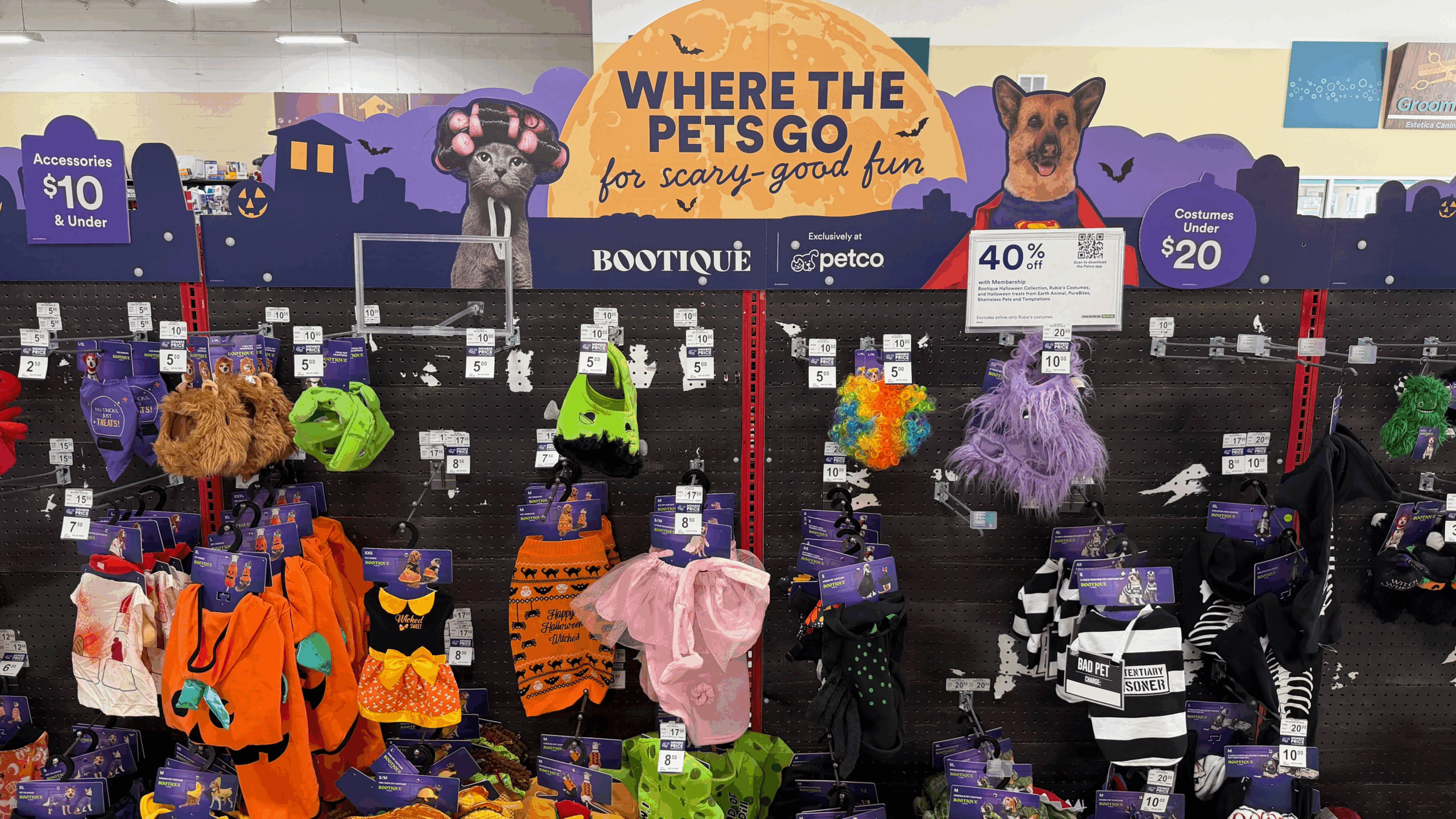 PETCO HALLOWEEN 1 scaled