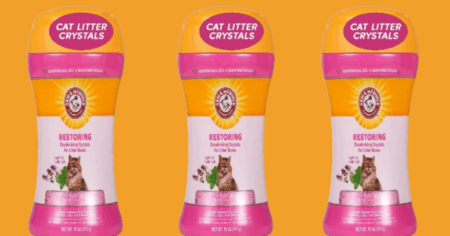 Untitled 1200 x 663 px 20251031 133711 0000