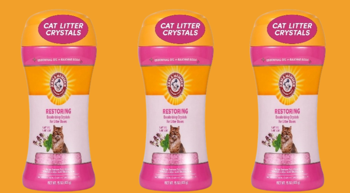 Untitled 1200 x 663 px 20251031 133711 0000