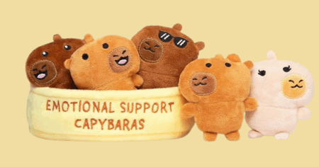 Untitled design 20251005 131109 0000