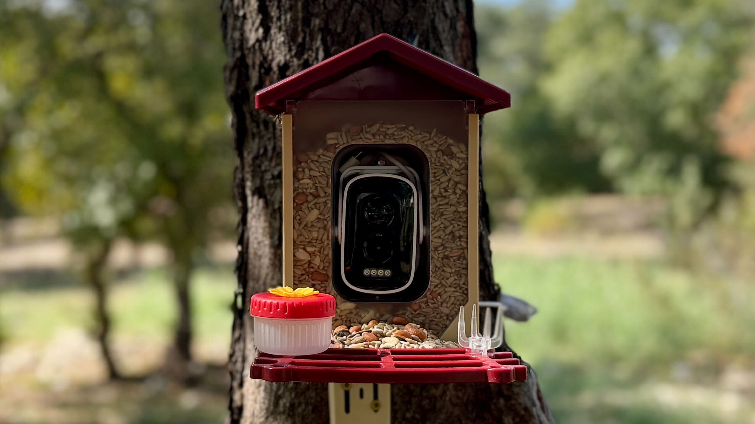 Westhey bird feeder