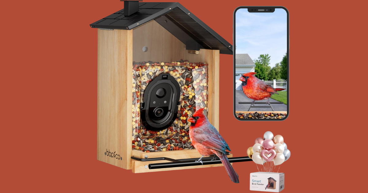 birdhouse birdhouse