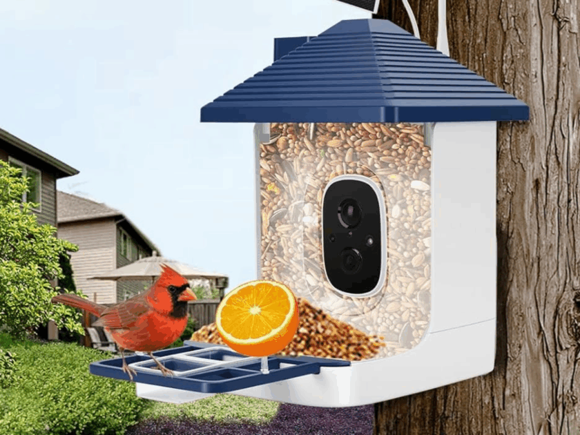 Aprilmin Bird Feeder