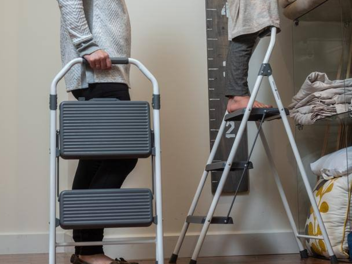 Gorilla Ladder Gorilla Ladder