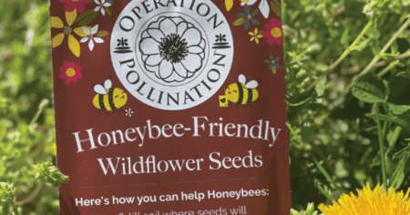 Operation Pollination Honey Bee Friendly Wildflower Seed Packets